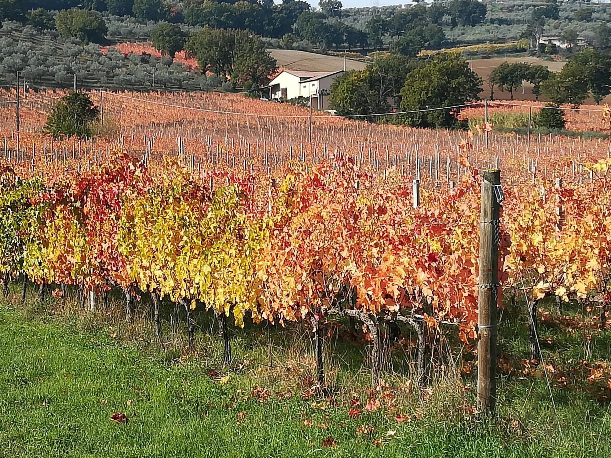 Antico Gioiello Umbro , Appartamento Con Terrazza Фоліньо Екстер'єр фото
